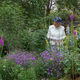 Image for article titled Queen Elizabeth Hides Out In Bushes To Catch Whoever Keeps Stealing Packages From Buckingham Palace Porch